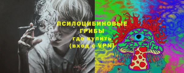 метадон Арсеньев