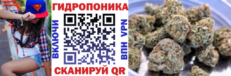 что такое   Пошехонье  Бошки Шишки марихуана 
